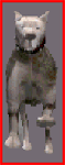 redneck-dog.gif (5883 bytes)